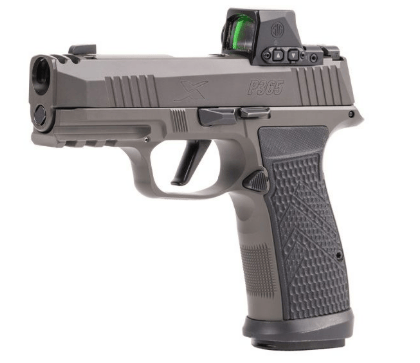 Iron Sights vs Red Dot for Beginners: The Essential Comparison