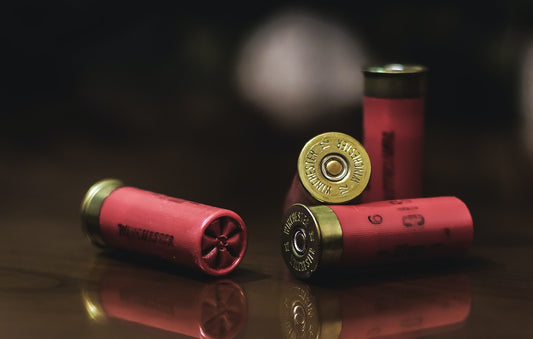 Bang for Your Buckshot: The Best Shotgun Ammo for Home Defense - CYA Supply Co.