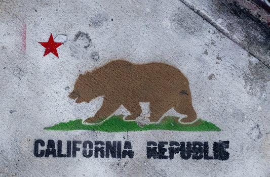 Ordering Ammunition Online In California : Where to buy ammunition that ships to California - CYA Supply Co.