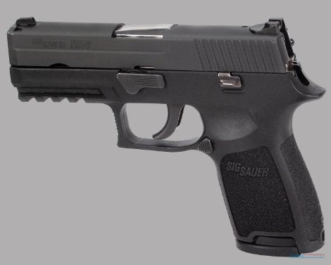 Sig Sauer P250 Review: An In-Depth Look at the Modular Handgun - CYA Supply Co.
